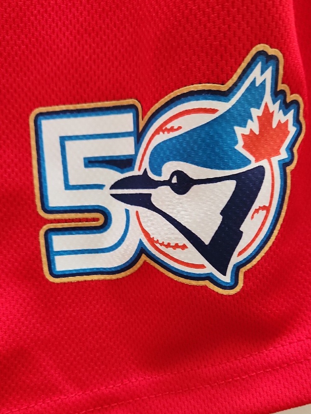 Blue Jays Shane Bieber Jersey Giveaway - Picture 4 of 4